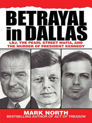 cover image of Betrayal in Dallas